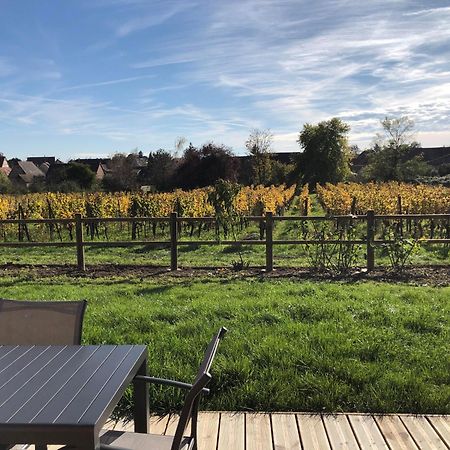 Domaine Rosfelder - Locations De Gite Et Cabane Insolite Gertwiller Экстерьер фото