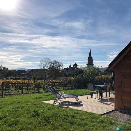 Domaine Rosfelder - Locations De Gite Et Cabane Insolite Gertwiller Экстерьер фото