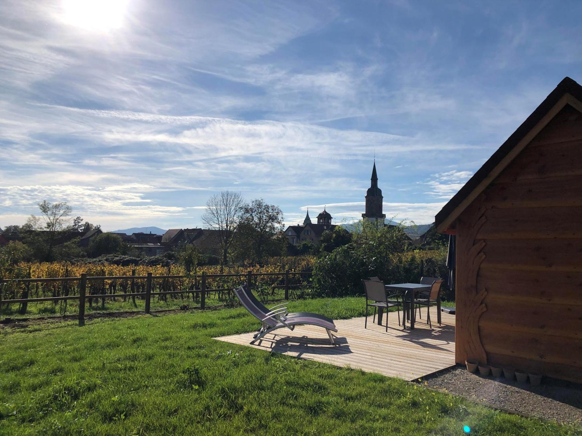 Domaine Rosfelder - Locations De Gite Et Cabane Insolite Gertwiller Экстерьер фото