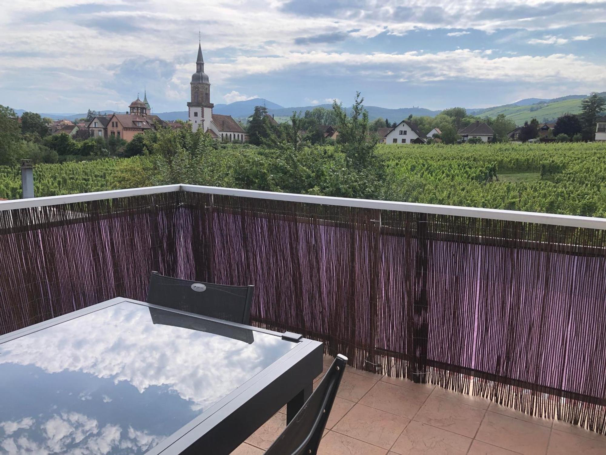 Domaine Rosfelder - Locations De Gite Et Cabane Insolite Gertwiller Экстерьер фото